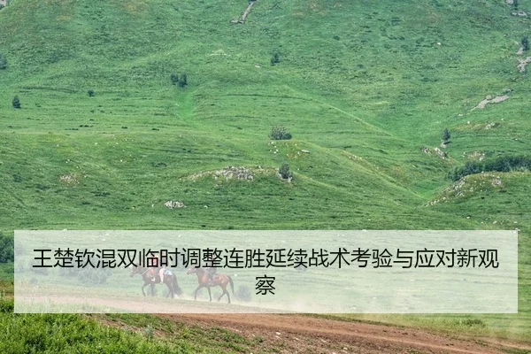 王楚钦混双临时调整连胜延续战术考验与应对新观察