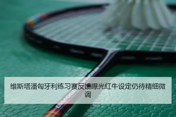 维斯塔潘匈牙利练习赛反馈曝光红牛设定仍待精细微调